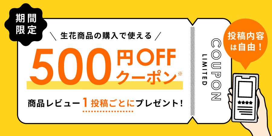 レビュー投稿で500円OFFクーポンプレゼント